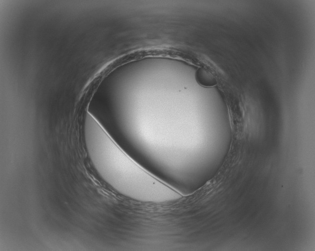 X0000081391208200701111158
