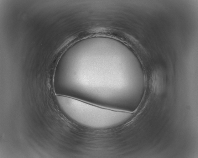 X0000081391209200701111158