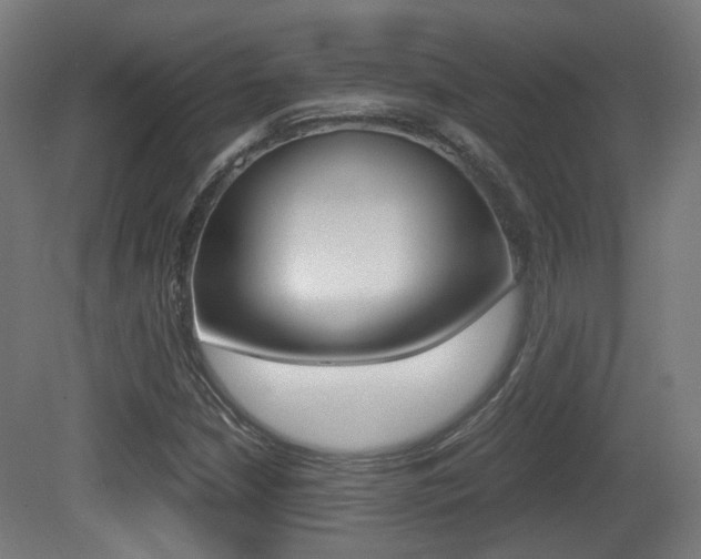 X0000081391210200701111158