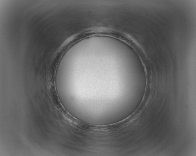 X0000081391213200701111158
