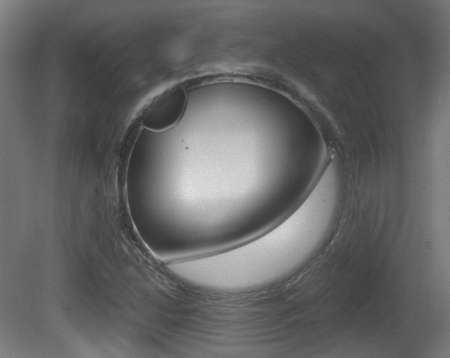 X0000081391214200701111158