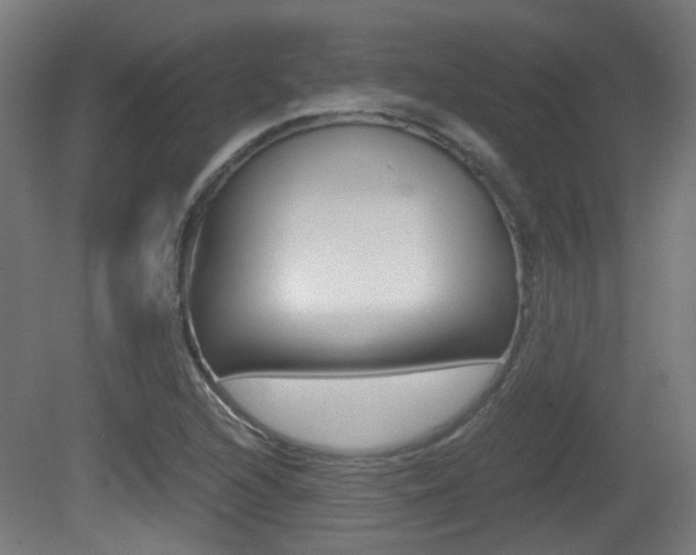 X0000081391216200701111158