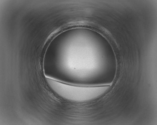 X0000081391218200701111158