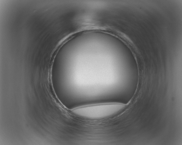 X0000081391220200701111158