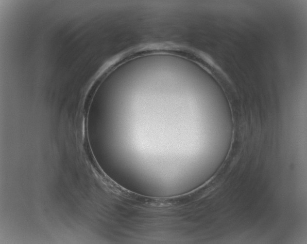 X0000081391221200701111158