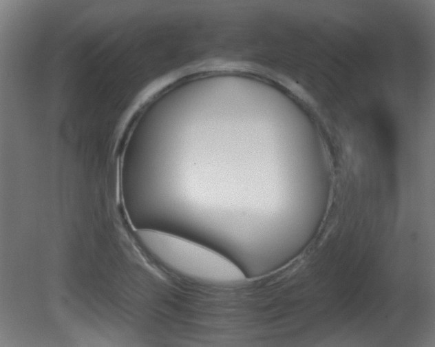X0000081391223200701111158