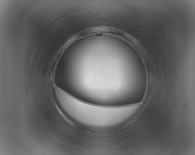 X0000081391225200701111158