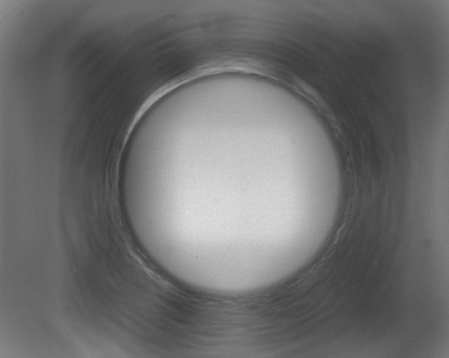 X0000081391226200701111158