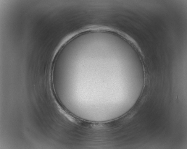 X0000081391231200701111158