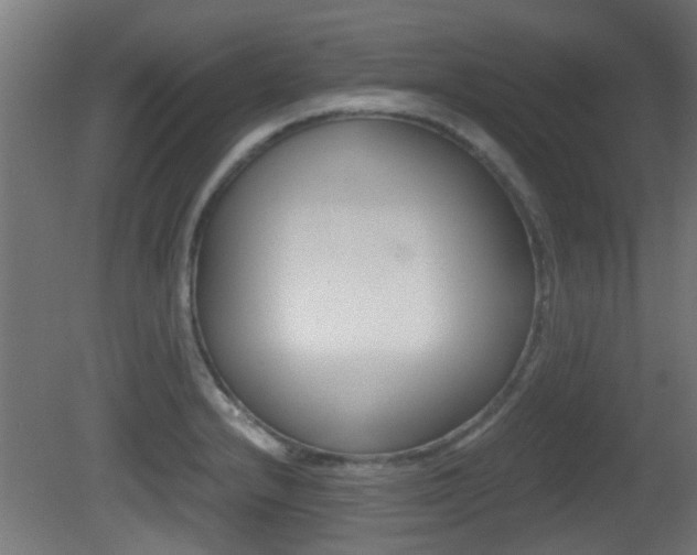 X0000081391232200701111158