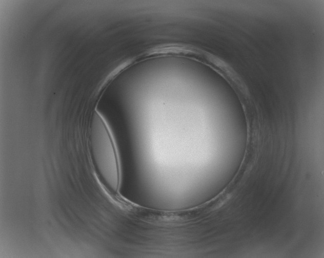 X0000081391233200701111158