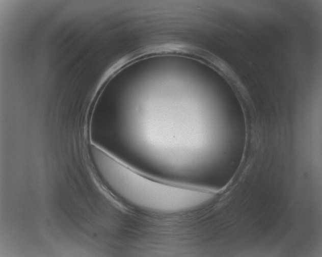 X0000081391234200701111158