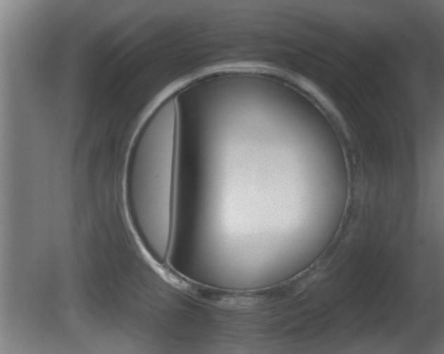 X0000081391237200701111158