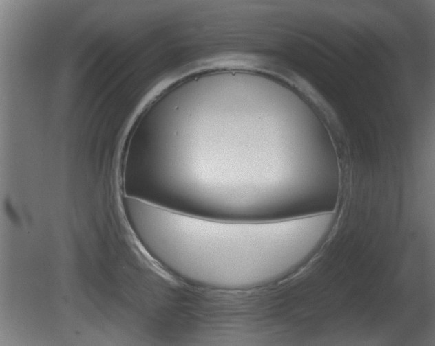 X0000081391240200701111158