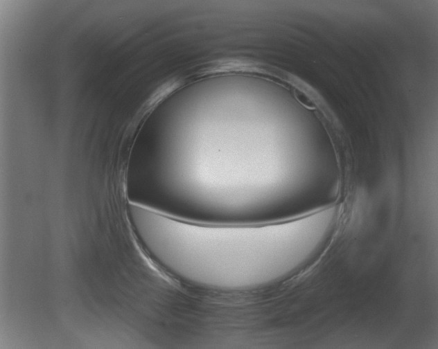X0000081391241200701111158