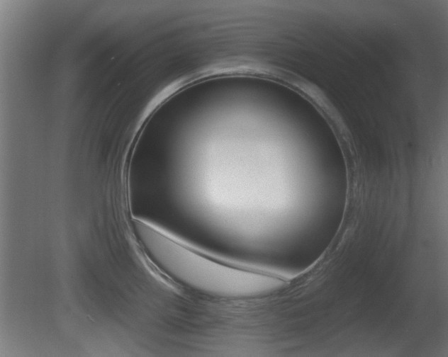 X0000081391242200701111158
