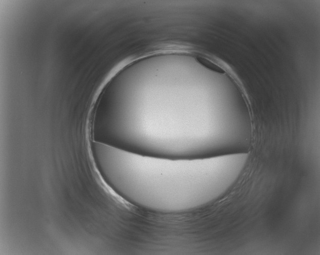 X0000081391243200701111158