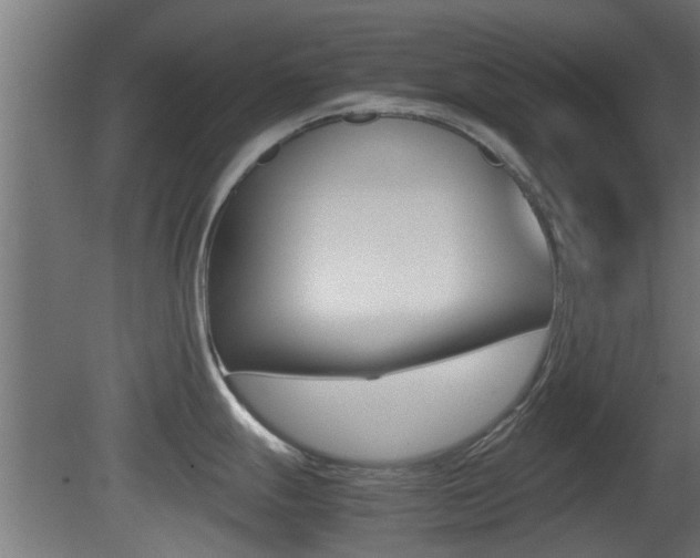 X0000081391247200701111158