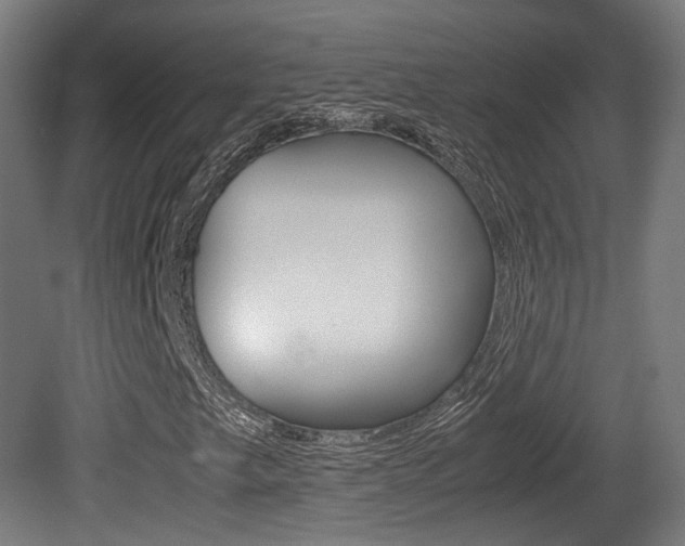 X0000081391249200701111157