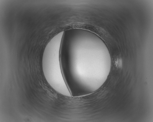 X0000081391252200701111157