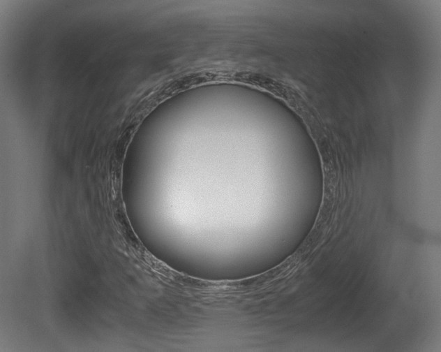 X0000081391253200701111157