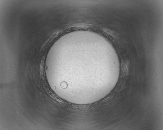 X0000081391254200701111157