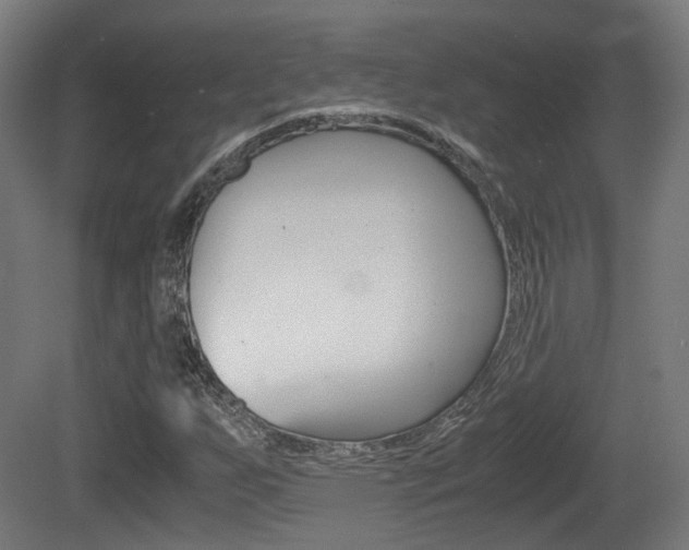 X0000081391255200701111157