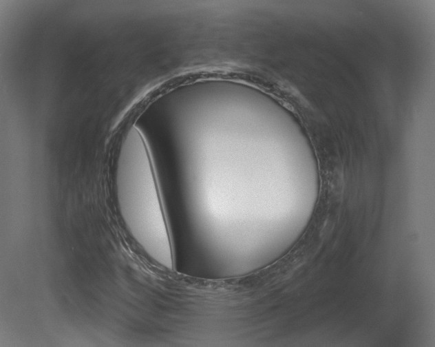 X0000081391256200701111157