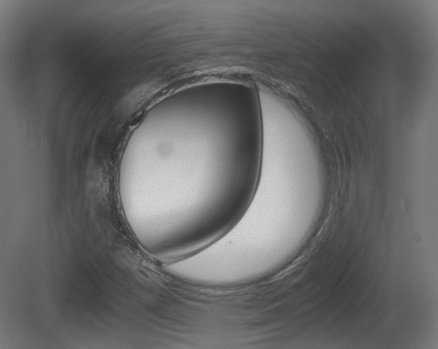 X0000081391257200701111157