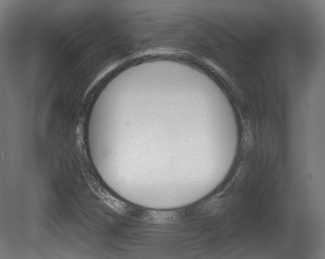 X0000081391258200701111157