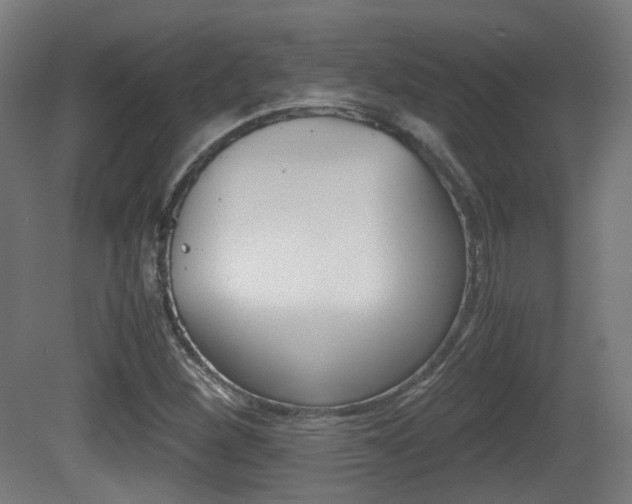 X0000081391260200701111157