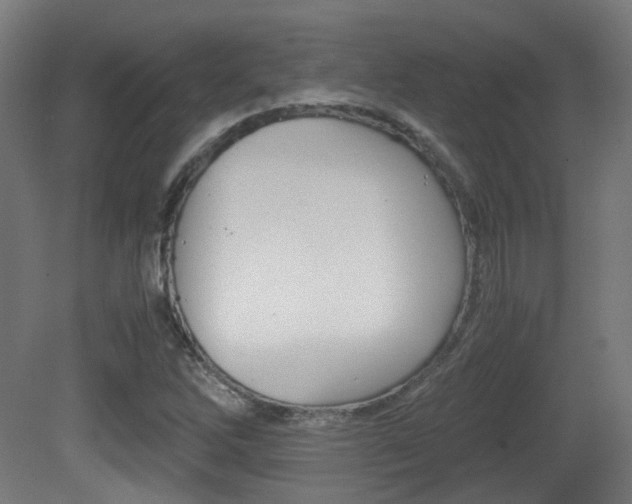 X0000081391262200701111157