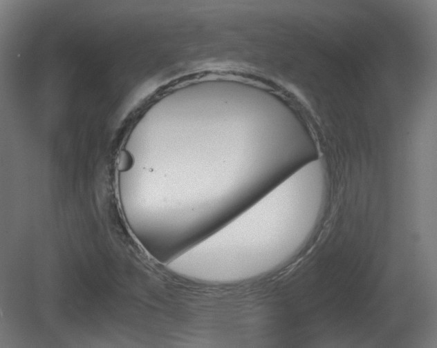 X0000081391263200701111157