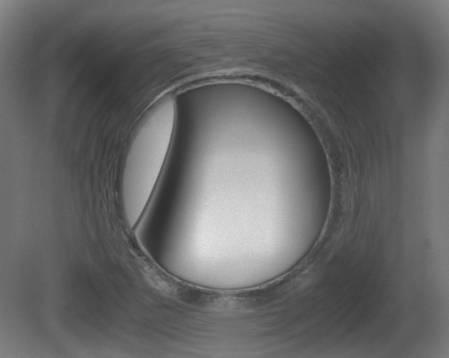 X0000081391265200701111157