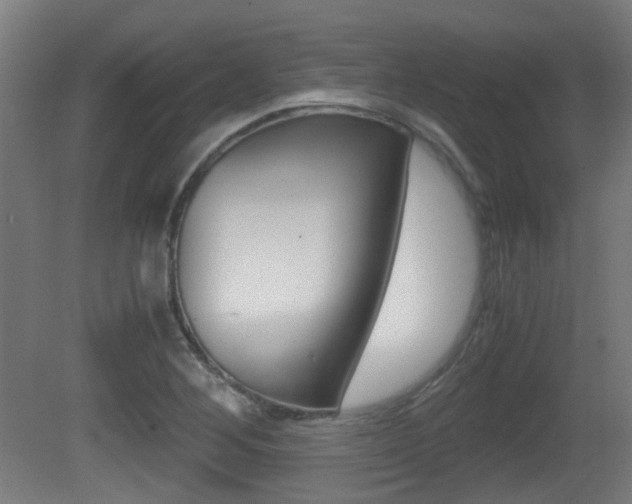X0000081391268200701111157