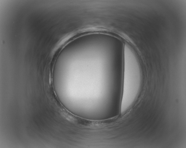 X0000081391269200701111157