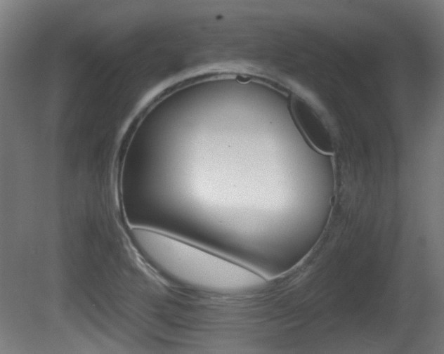X0000081391272200701111157