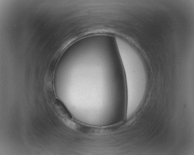 X0000081391273200701111157