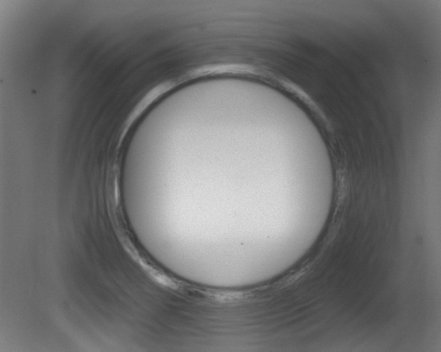 X0000081391274200701111157