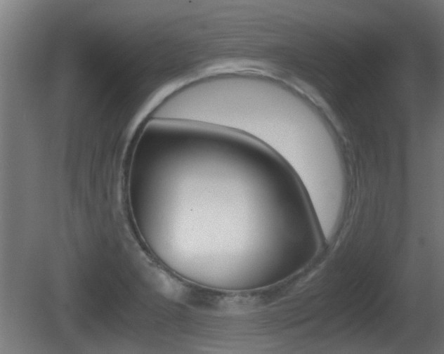 X0000081391277200701111157