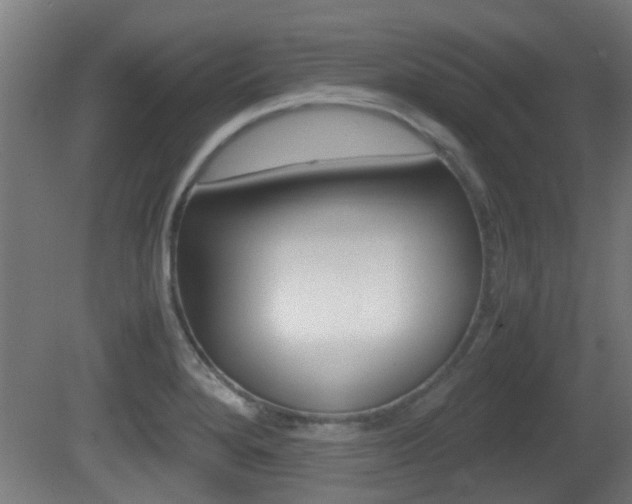 X0000081391280200701111157