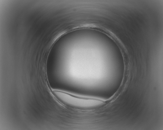X0000081391281200701111157