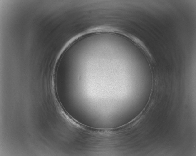 X0000081391288200701111157