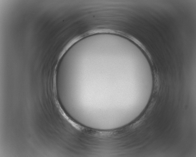 X0000081391290200701111157
