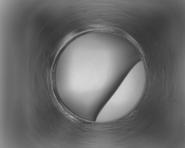 X0000081391291200701111157
