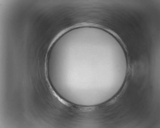 X0000081391294200701111157