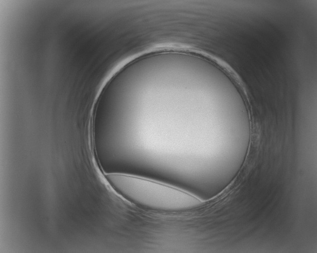X0000081391295200701111157