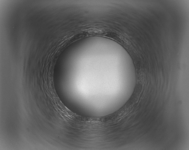 X0000081391297200701111156