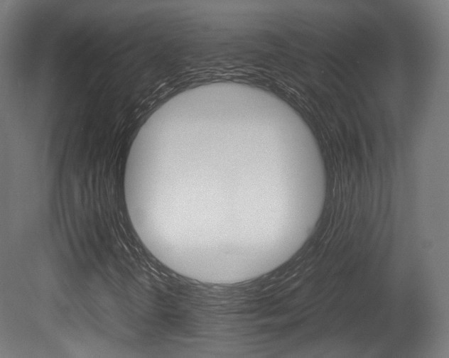 X0000081391298200701111156