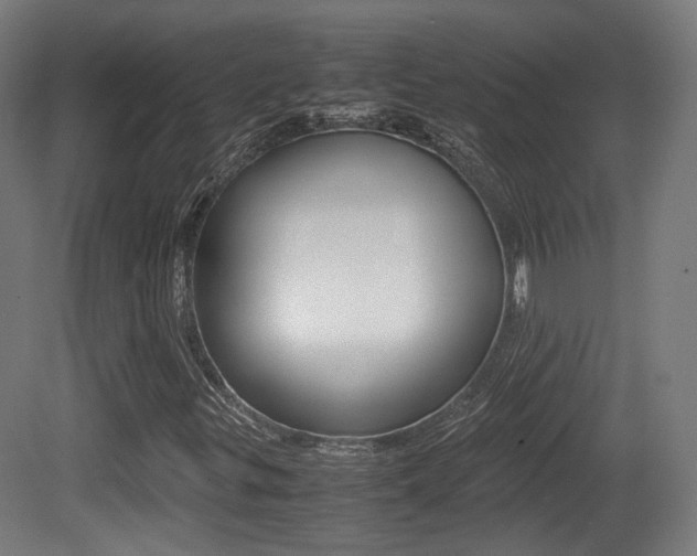 X0000081391299200701111156